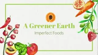Imperfect Foods *Explained*