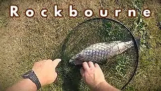 #flyfishing Rockbourne #troutfishing 3 fish 3 flies. 