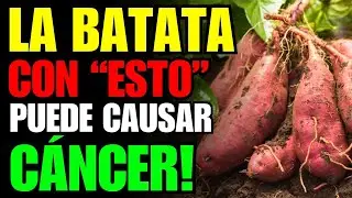 &iexcl;Nunca comas tu BATATA con esto! 🍠 3 peores combinaciones + receta secreta para limpiar tu cuerpo