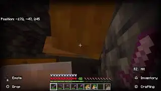 Minecraft Playthrough:EP 119 Trophy hunting