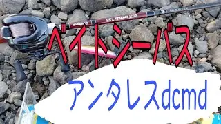 ベイトシーバス始めました！
