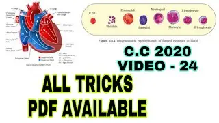 BODY FLUIDS AND CIRCULATION /NCERT BASED TRICKS/NEET