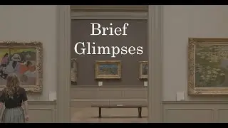 Brief Glimpses at Metropolitan Museum Of Art, NYC - BMPCC 4K