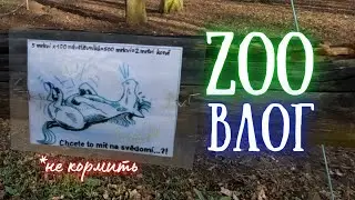 Дождь, град и другие субботние приключения.