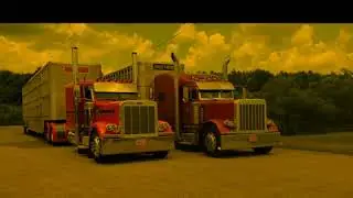 Bull WAGONS