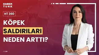Batı k&ouml;pek sorununu nasıl aştı? | HT 360 - 15 Aralık 2023