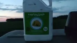 є бур'ян але і є рядочки, квс 2370. Обробка гербіцидами від компанії УКРАВІТ.