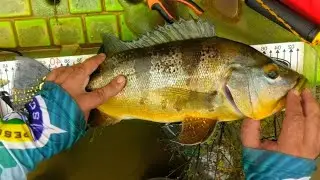 Remada 40 km, 19 caiaqueiros, Corumb&aacute; 4, Kayak DF