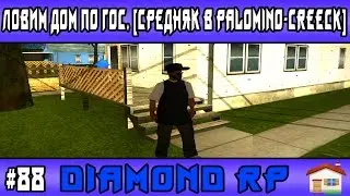 Diamond Rp | #88 | Ловим дом по гос. [Средняк в Palomino-Creeck]