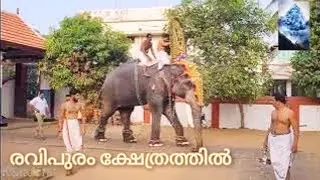 രവിപുരം ക്ഷേത്രത്തിത്തിലെ തിരുവുത്സവ കാഴ്ച്ചകൾ!!elephant in kerala 