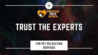 Pet Relocation Services In Kenya