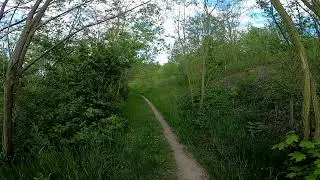Walking around lake Staiburchsee. Halle-Neustadt. Germany.