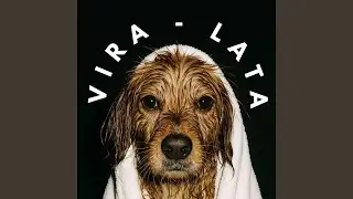 Vira Lata