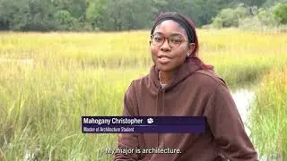 Master of Resilient Urban Design Certificate