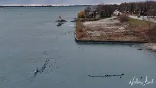 NOV 2025 LAKE ERIE SEICHE ON THE NORTH SHORE OF WESTERN LAKE ERIE EXPOSED SHIPWRECK DEMMING OVERTON