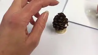 Gran av kotte