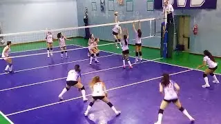 Pallavolo U16F - SERALL DVB  vs  Polisportiva Giovanile Senago