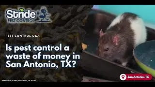 Is pest control a waste of money in San Antonio, TX?