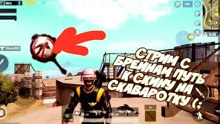 Стрим С BRAIN и ZOOM и MR ZORD  пятнеца значыт  стрим👀 3 дня выхадные