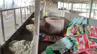 Milk time👳👍 #cowfarming #cowfarm #viralvlogs #cowlover #youtubeshorts #youtuber #minivlog #like👍👳