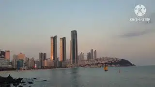 Relaxing Sunset & Waves at Haeundae Beach Backgeound | ASMR 부산 해운대의 황금빛 저녁 바다