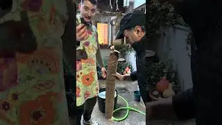 Hoy te ense&ntilde;o c&oacute;mo meter los lomos del cocho en la tripa 🐷