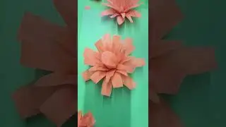 HỌC TỈA HOAC&Agrave; RỐT #shortvideo