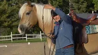 2022 WDAA Basic Level test 4, Open score was 81.153 Suzanne Morisse and Sabreena Sue