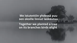 Antti Tuisku - Juuret Finnish & English Lyrics