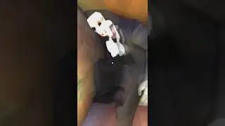 Cut Screams Part 81! (Nun Massacre) #shorts #puppetcombo