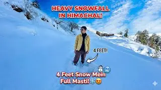 Heavy Snowfall in Himachal: 4 Feet Snow mein Masti! ❄️😍
