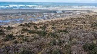 5+ acres on the Pacific Ocean in Grayland, WA