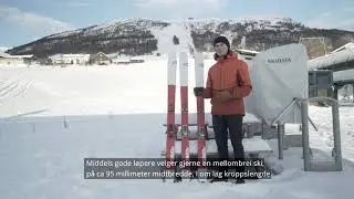 Hvordan velger du riktig skilengde?