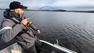 Pannukarkeaa SYYSAHVENTA j&auml;rvelt&auml; - VINKIT jigikalastajalle - Miss&auml; ja Miten - Ahvenen kalastus