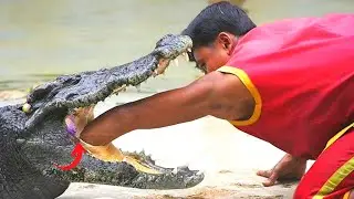Fastest Workers In The World ▶16