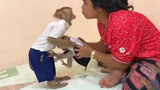 Smart Jason Lovely Attitude To Mom When Try To Take Baby Hailey Playing