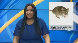 Preventing Hantavirus