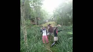 HCD Micro Grant 2013 - Pineapple Academy of Indonesia