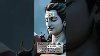 Shiva Mantra to Remove Negativity | Om Namah Shivaya #Mahadev#OmNamahShivaya#ShivaShorts