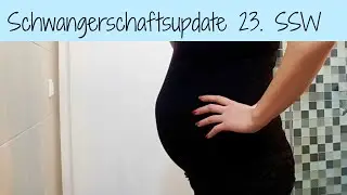 Schwangerschafts-Update 23. SSW | babyartikel.de