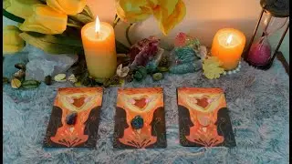 **pick a card** WHAT DO THEY ADORE ABOUT YOU?