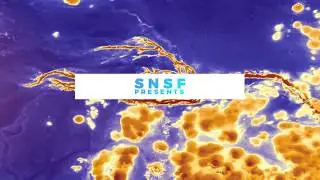 The Swiss National Science Foundation presents: Image Competition 2019