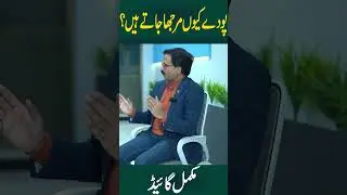 Why plants from Nursery die at home ?  || Gardening With Javed Iqbal