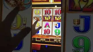 4 coin bonus Buffalo Gold Revolutions slot machine (FULL VIDEO)