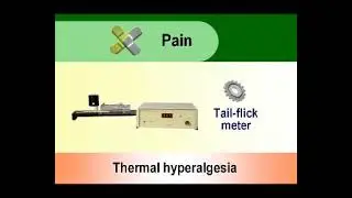 Tail flick method دفعة 68