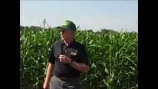 Corn Production Review