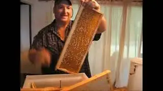honey extraction