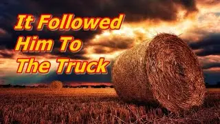 Bigfoot Follow Hunter BFRO Report 65984