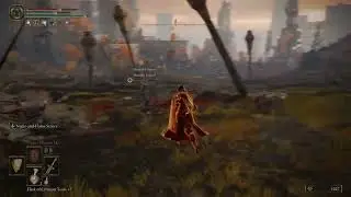 I got invaded! - Toasted - Elden Ring