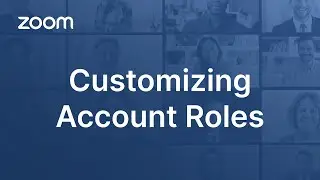 Customizing and Configuring Account Roles